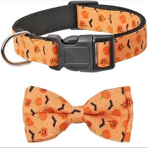 Halloween Dog Collar with Bow + Bat/Pumpkin Print